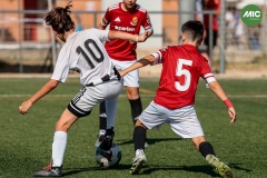 MIC7_26_DIUMATI-97