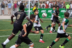 MIC7_DISSABTE_MATI_DAVIDSUBIRANA-134