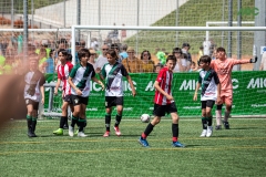 MIC7_DISSABTE_MATI_DAVIDSUBIRANA-154