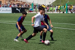 MIC7_DISSABTE_MATI_DAVIDSUBIRANA-198