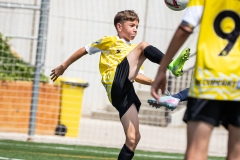 MIC7_DISSABTE_MATI_DAVIDSUBIRANA-229