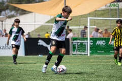 MIC7_DISSABTE_MATI_DAVIDSUBIRANA-245