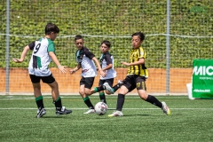 MIC7_DISSABTE_MATI_DAVIDSUBIRANA-256