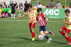 MIC7_DISSABTE_MATI_DAVIDSUBIRANA-71