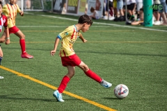 MIC7_DISSABTE_MATI_DAVIDSUBIRANA-72