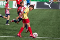 MIC7_DISSABTE_MATI_DAVIDSUBIRANA-78