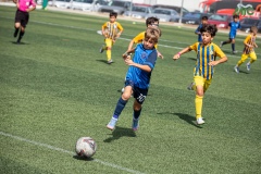 MIC7_DISSABTE_TARDA_DAVIDSUBIRANA-50