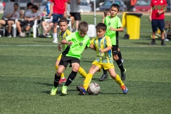 MIC7_DISSABTE_TARDA_DAVIDSUBIRANA-66