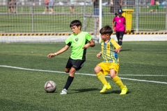 MIC7_DISSABTE_TARDA_DAVIDSUBIRANA-70