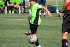 MIC7_DISSABTE_TARDA_DAVIDSUBIRANA-77