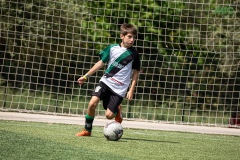 MIC7_DIUMENGE_MATI_DAVIDSUBIRANA-151