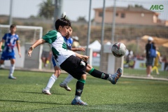 MIC7_DIUMENGE_MATI_DAVIDSUBIRANA-161