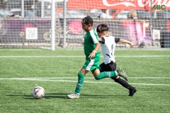 MIC7_DIUMENGE_TARDA_DAVIDSUBIRANA-72