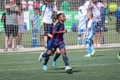 1_MIC7_23_BAR_CSP-11