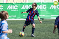 1_MIC7_23_BAR_CSP-14