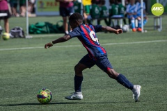 1_MIC7_23_BAR_CSP-24