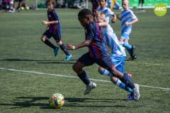 1_MIC7_23_BAR_CSP-29