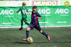 1_MIC7_23_BAR_CSP-38