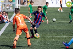 1_MIC7_23_BAR_CSP-39