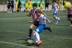 1_MIC7_23_GRA_ATL-12