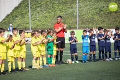 MIC7_VIL_PALL-7