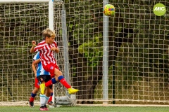 MIC7_23_RCDE_ATM_AF_001