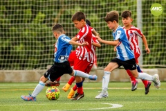 MIC7_23_RCDE_ATM_AF_007