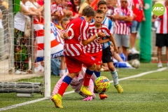 MIC7_23_RCDE_ATM_AF_041