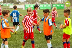 MIC7_23_RCDE_ATM_AF_044