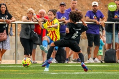 MIC7_23_ROQ_LAG_AF_003