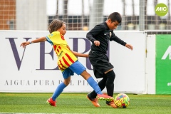 MIC7_23_ROQ_LAG_AF_006