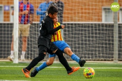 MIC7_23_ROQ_LAG_AF_013