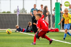 MIC7_23_ROQ_LAG_AF_018