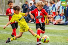 MIC7_23_VILL_TOR_AF_024