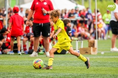 MIC7_23_VILL_TOR_AF_027