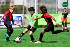 MICFOOTBALL 7 2019