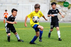 MICFOOTBALL7 2019