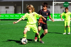 MICFOOTBALL7 2019