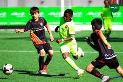 MICFOOTBALL7 2019
