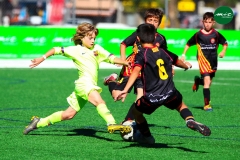 MICFOOTBALL7 2019