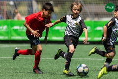 MICF719_B_FCV_CPS_AG_11