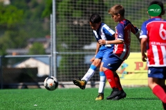 MICFOOTBALL 7 2019