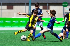 MICFOOTBALL 7 2019