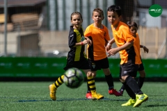 MICF719_C_CFP_UESC_AG_10