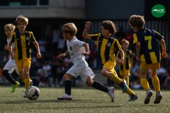 MICF719_C_VFC_ASJ_AG_7