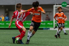 MICF719_A_FCP_GIR_AG_2