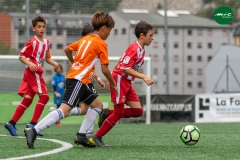 MICF719_A_FCP_GIR_AG_3