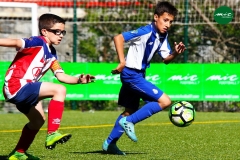 MICF719_A_FCP_UEV_AF_01