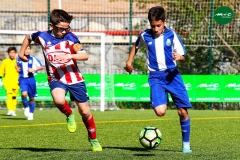 MICF719_A_FCP_UEV_AF_08