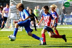 MICF719_A_FCP_UEV_AF_11